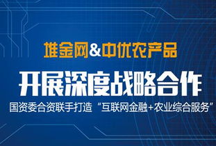 东华健康投资 打造安全 稳健 流通性强的理财平台