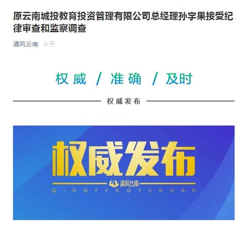 原云南城投教育投资管理总经理孙宇果被查