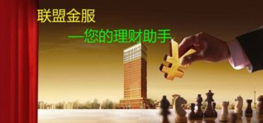 镇江市联盟投资管理 安全理财为投资者们提供安全的理财产品
