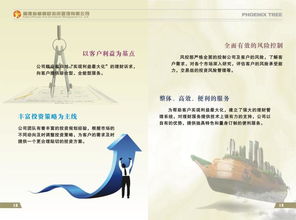 福建省梧桐树投资管理图册