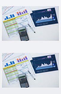 jpg金融投资管理公司 jpg格式金融投资管理公司素材图片 jpg金融投资管理公司设计模板 